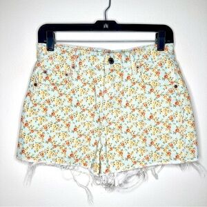 Zara High Waist Floral Women's Distressed Shorts Size 4
